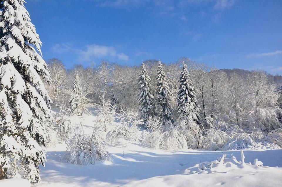 Vila Le Reve De Charles Faucompierre Exteriér fotografie